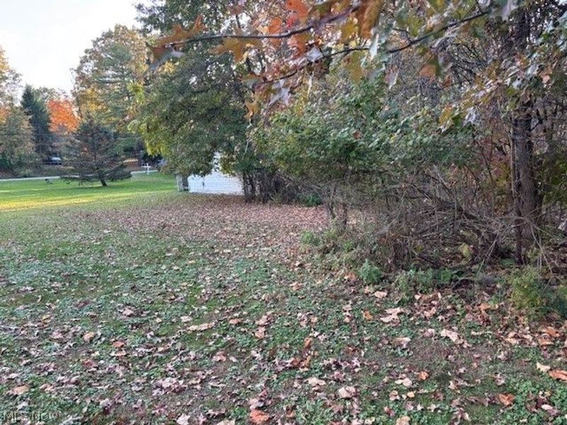 23282 High Road, Bedford, OH 44146 Photo 5