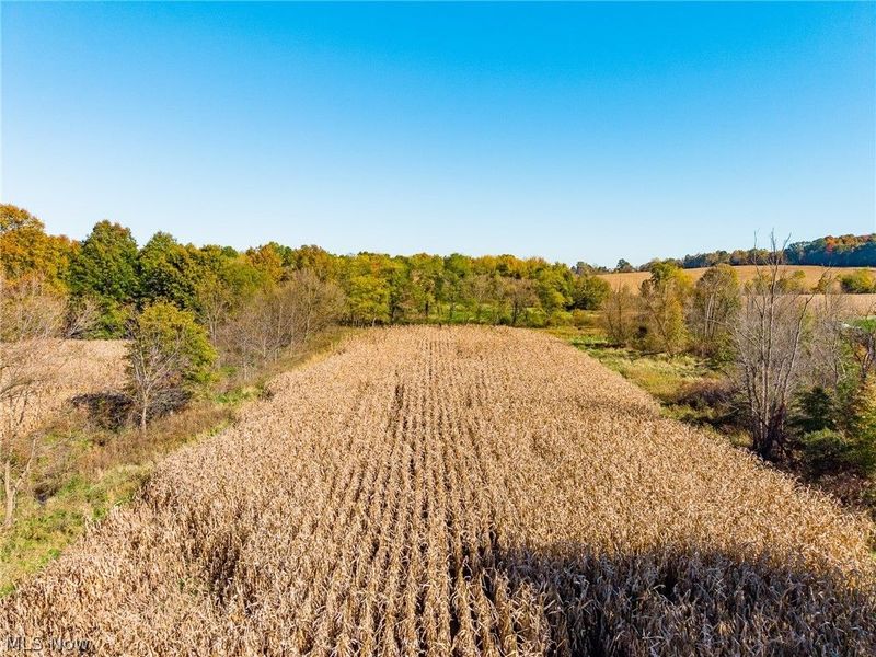 SW Northvale Avenue, Beach City, OH 44608 Photo 9