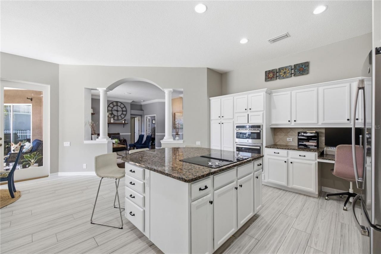 3905 Sorrel Vine Drive, Wesley Chapel, FL 33544 Photo