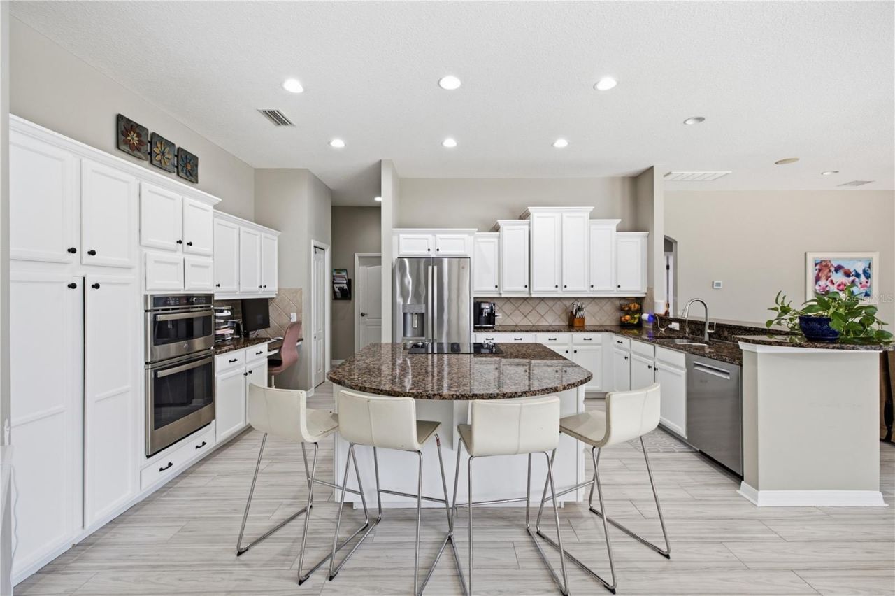 3905 Sorrel Vine Drive, Wesley Chapel, FL 33544 Photo