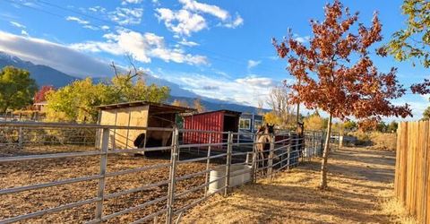 75 Cottontail Lane, Washoe Valley, NV 89704 Photo