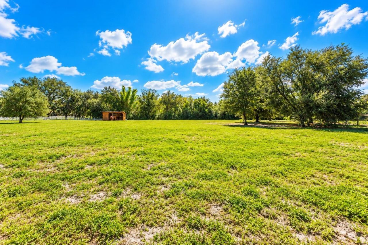11526 Trotting Down Drive, Odessa, FL 33556 Photo