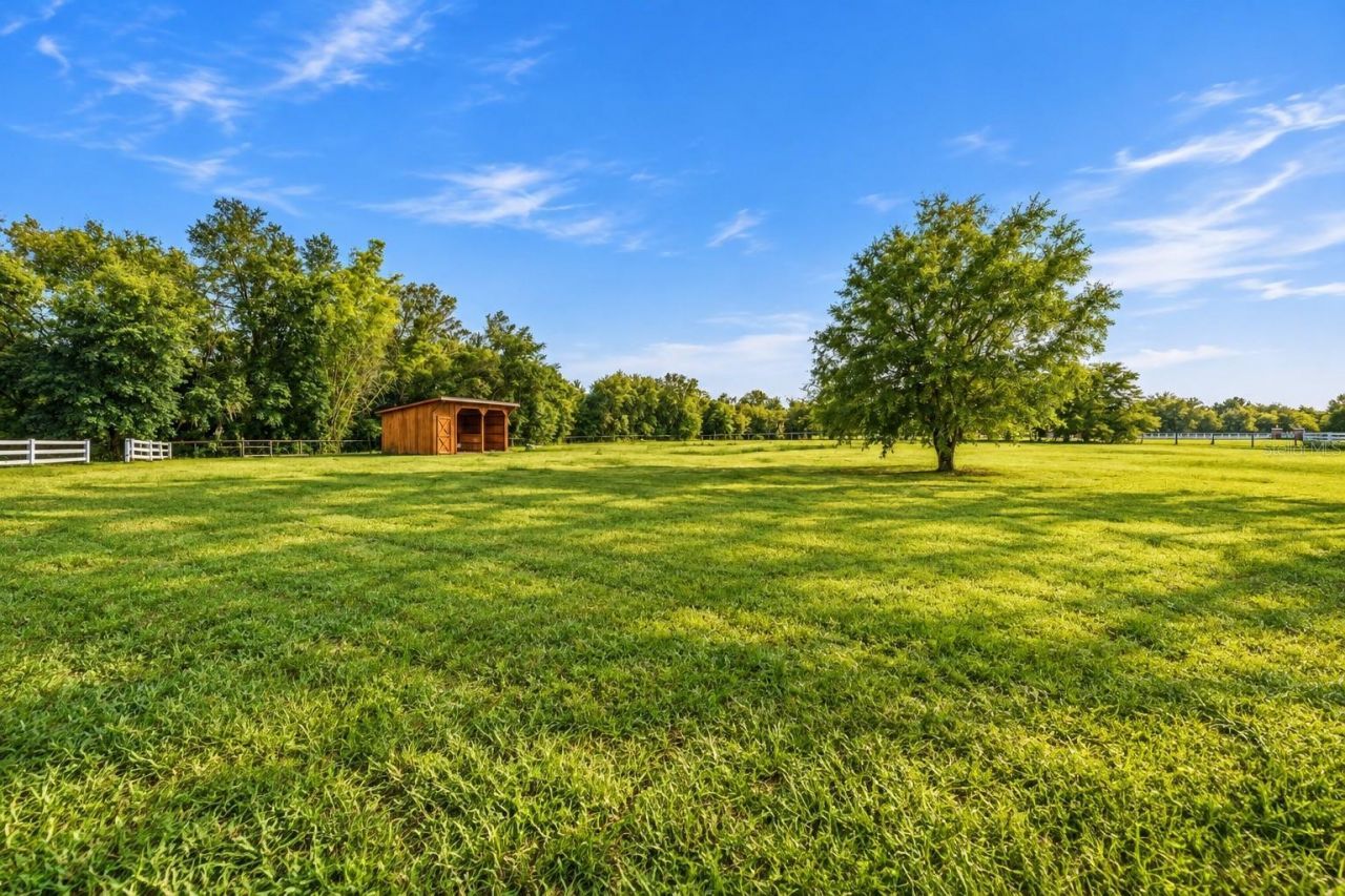 11526 Trotting Down Drive, Odessa, FL 33556 Photo