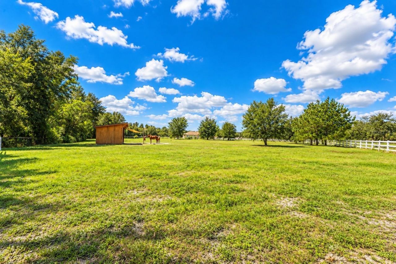 11526 Trotting Down Drive, Odessa, FL 33556 Photo