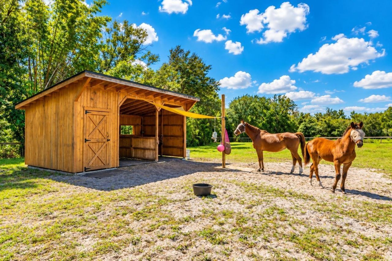 11526 Trotting Down Drive, Odessa, FL 33556 Photo
