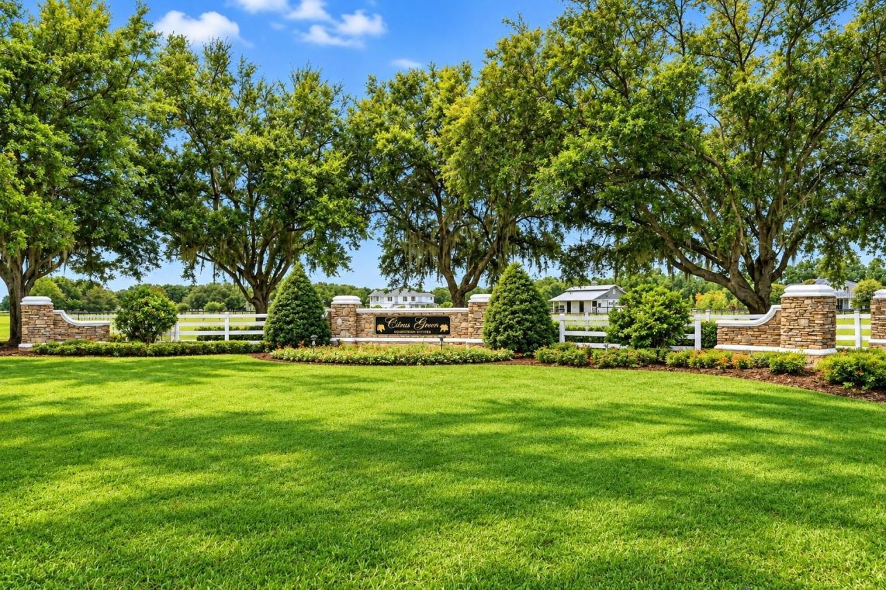 11526 Trotting Down Drive, Odessa, FL 33556 Photo