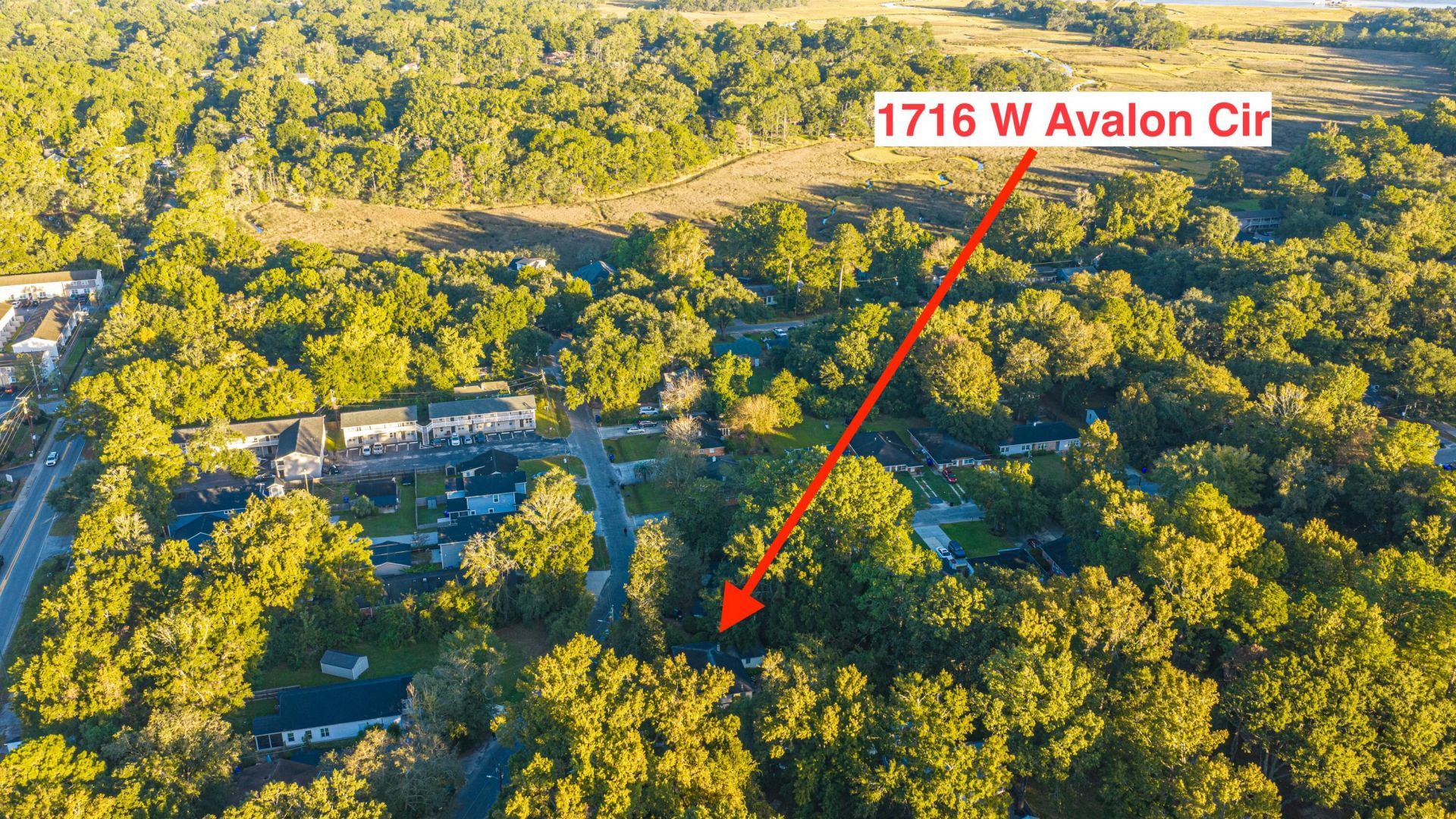 1716 W Avalon Circle Photo 48