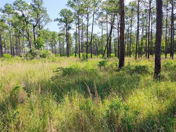 0 Johnson Road, Coden, AL 36523