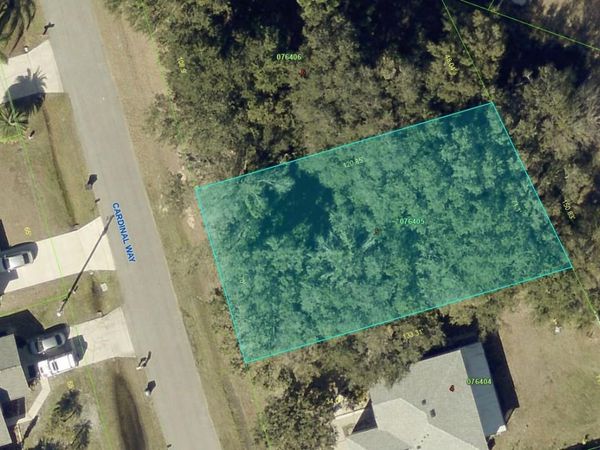 811 CARDINAL WAY , POINCIANA, FL 34759