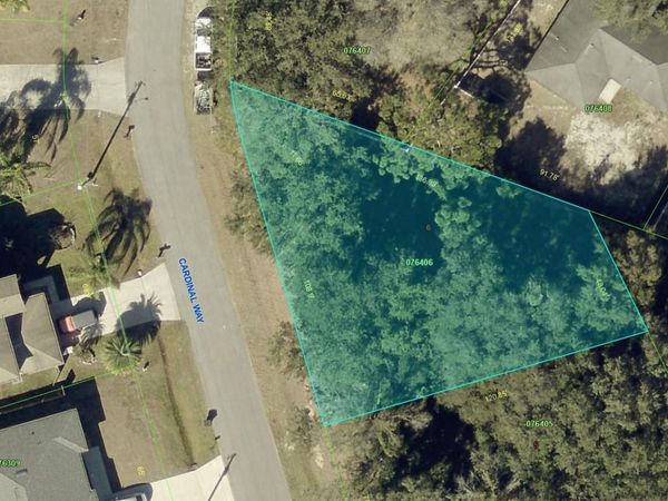 807 CARDINAL WAY , POINCIANA, FL 34759