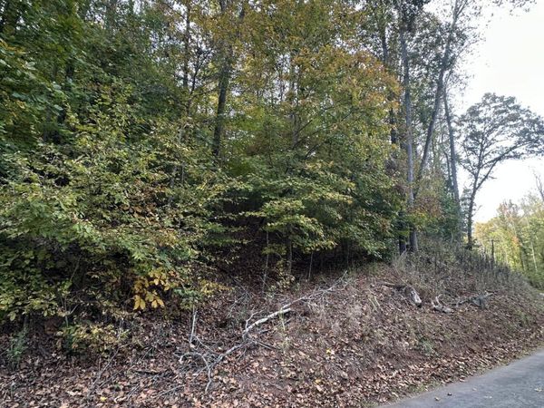 Wrights Ferry Rd, Louisville, TN 37777