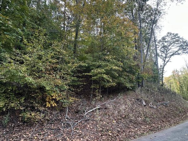 0 Wrights Ferry Rd , Louisville, TN 37777