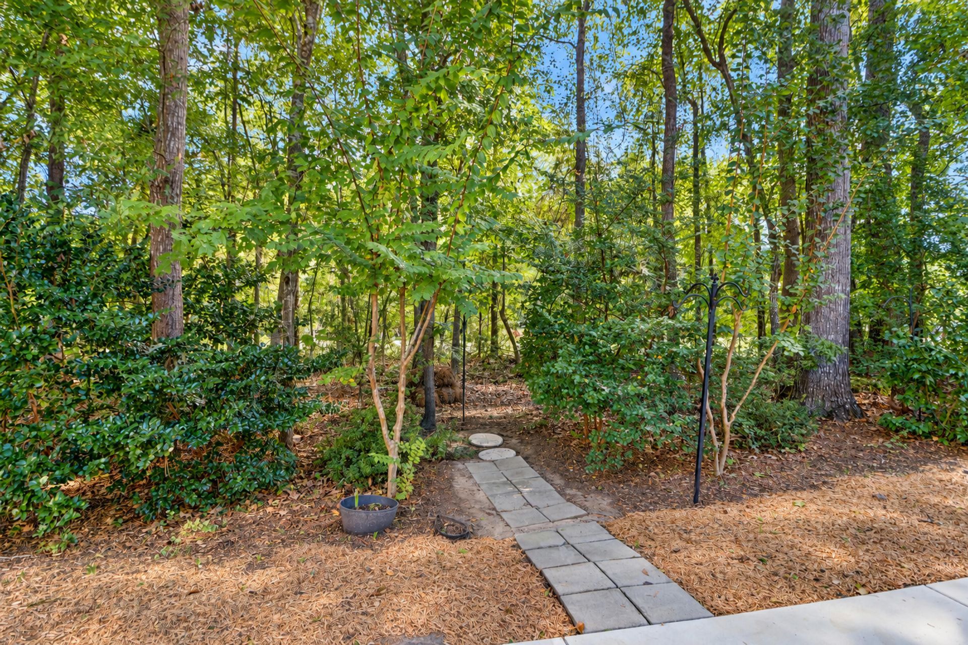 2459 Draymohr Court Photo 42