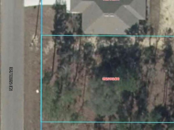NE 150TH AVENUE , WILLISTON, FL 32696
