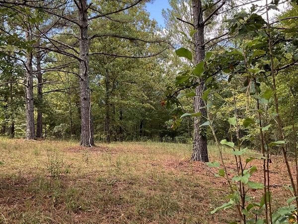 10805 Mt Hester Rd, Cherokee, AL 35616