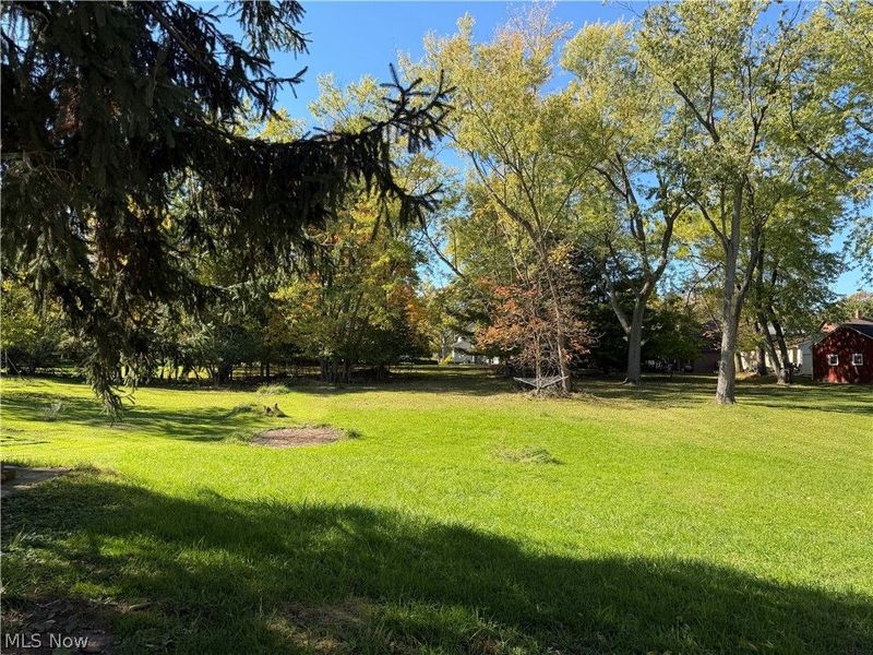 227 N East Street, Medina, OH 44256 Photo 16