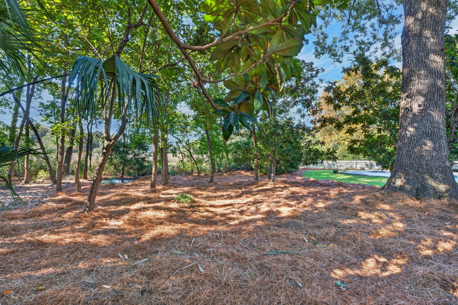 1635 Seignious Drive Photo 81