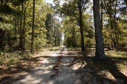 1298 Barracada Road photo 4