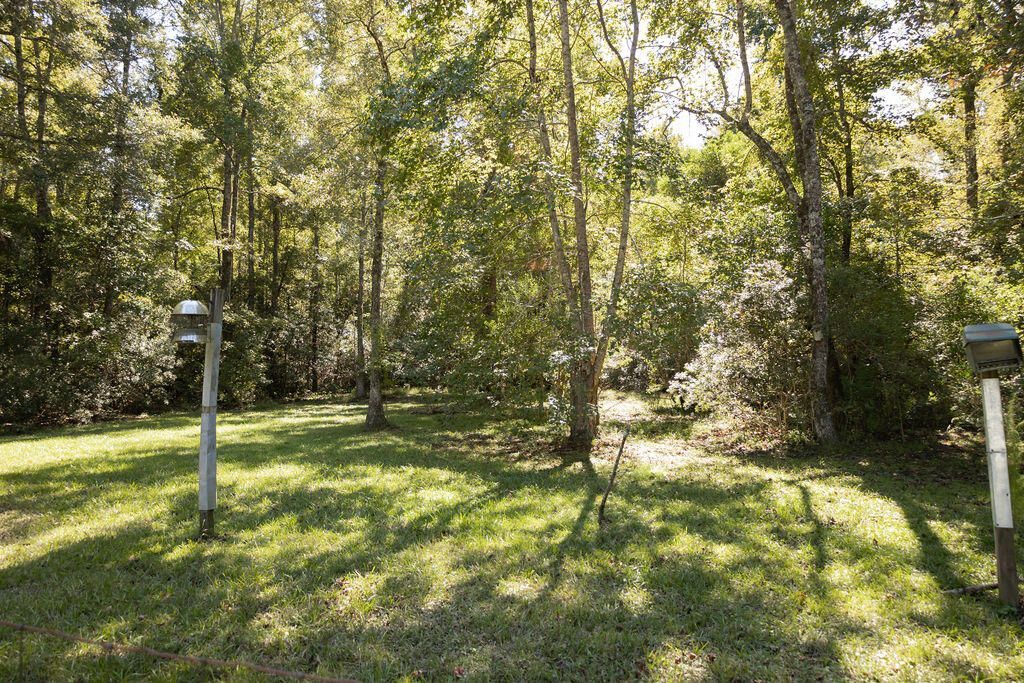 1298 Barracada Road Photo 50