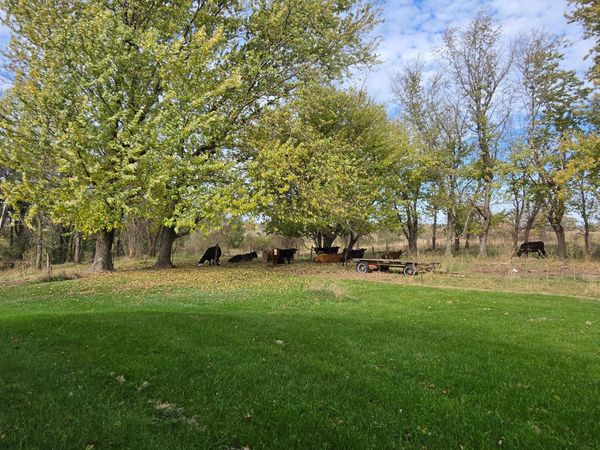 3321 430th Street , Nerstrand, MN 55053