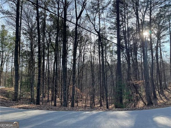 397EM Lemmon Drive, Ellijay, GA 30540