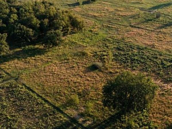 10189 County Road 120 , Gordon, TX 76453