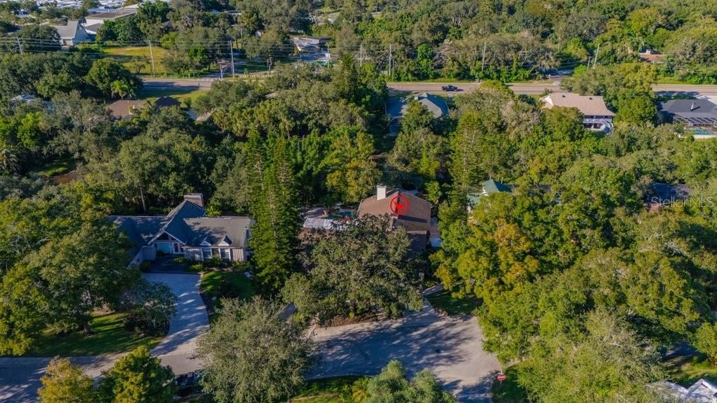 1184 Weybridge Lane, Dunedin, FL 34698 Photo