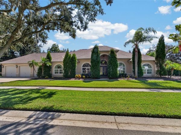 1009 EMERALD CREEK DRIVE , VALRICO, FL 33596