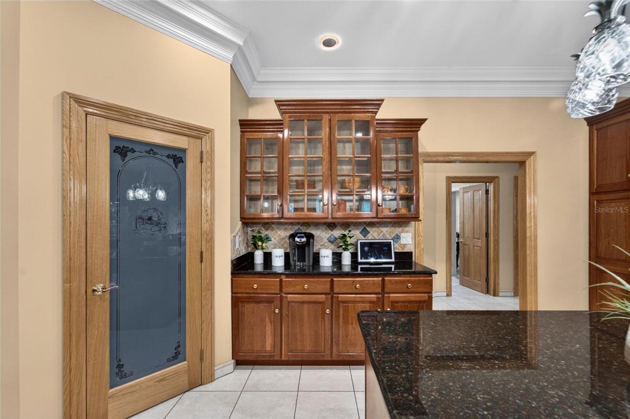 1009 Emerald Creek Drive , Valrico, FL 33596 Photo