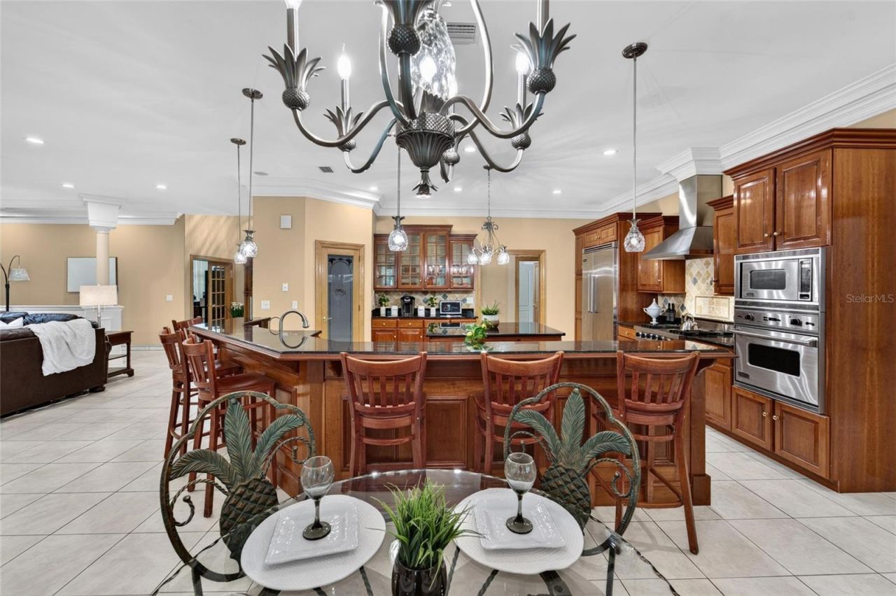 1009 Emerald Creek Drive , Valrico, FL 33596 Photo