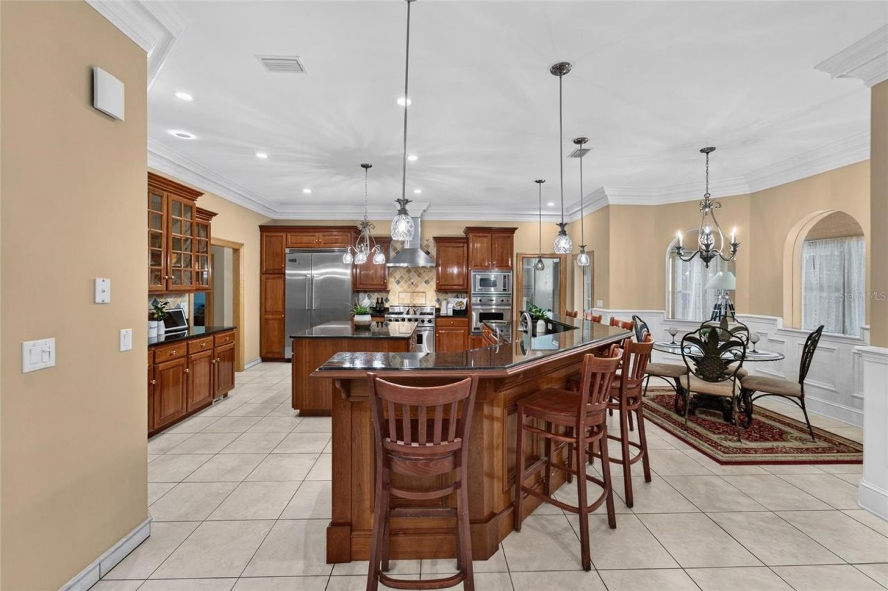 1009 Emerald Creek Drive , Valrico, FL 33596 Photo