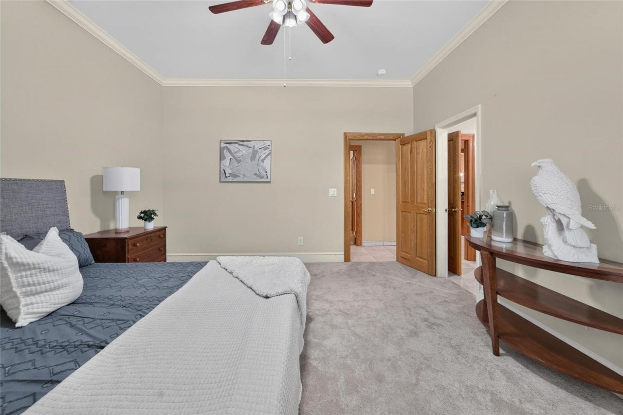 1009 Emerald Creek Drive , Valrico, FL 33596 Photo