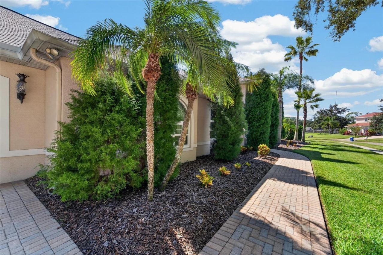 1009 Emerald Creek Drive , Valrico, FL 33596 Photo