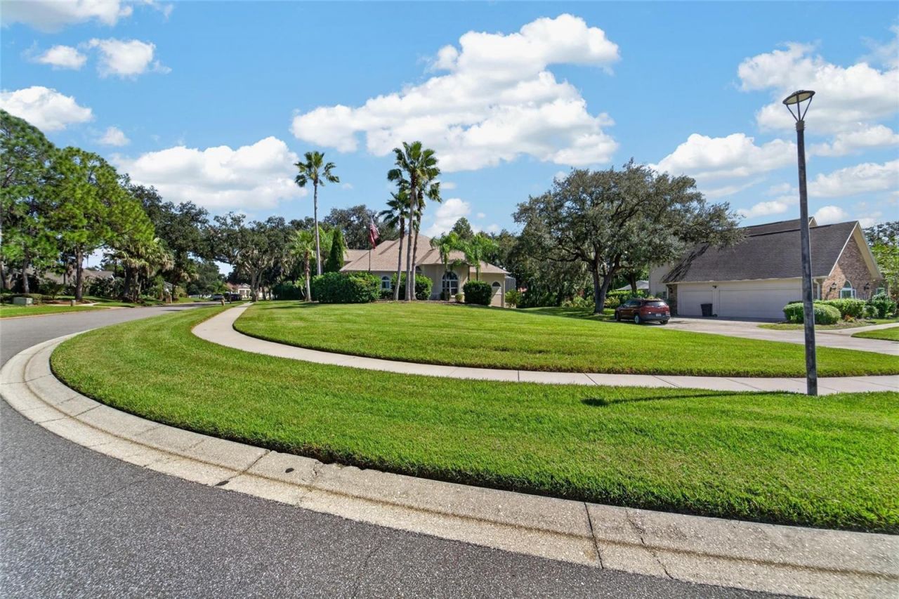 1009 Emerald Creek Drive , Valrico, FL 33596 Photo