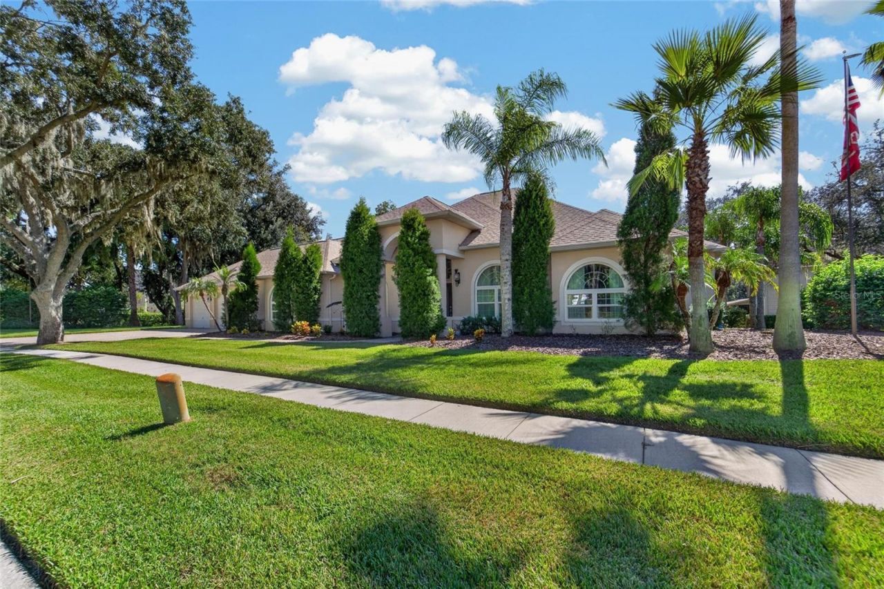 1009 Emerald Creek Drive , Valrico, FL 33596 Photo