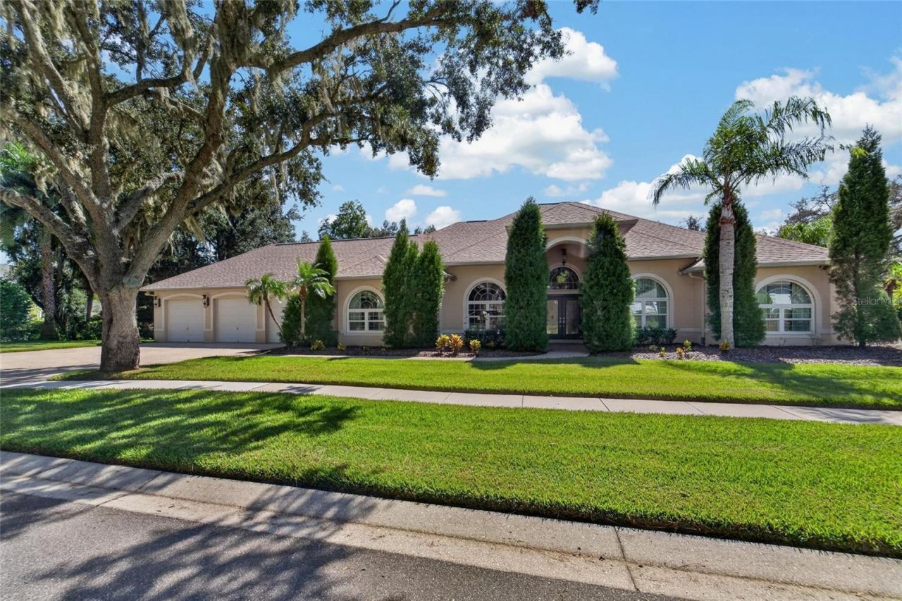 1009 Emerald Creek Drive , Valrico, FL 33596 Photo