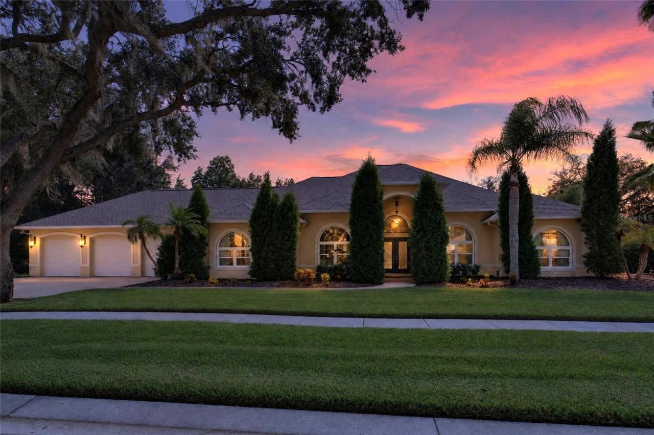 1009 Emerald Creek Drive , Valrico, FL 33596 Photo