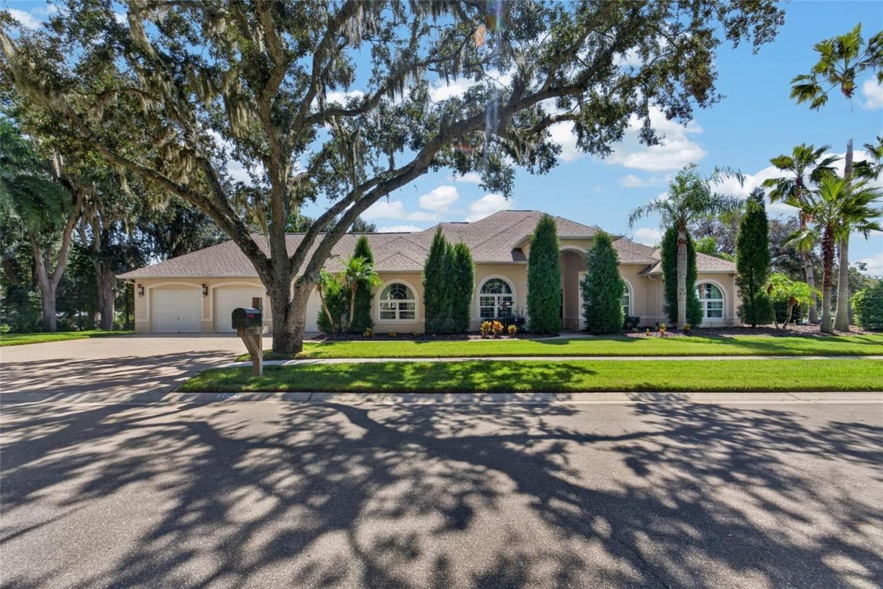 1009 Emerald Creek Drive , Valrico, FL 33596 Photo