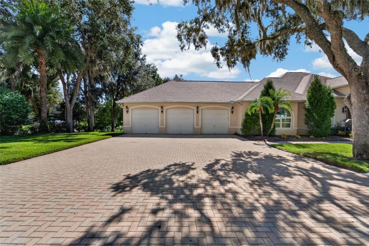 1009 Emerald Creek Drive , Valrico, FL 33596 Photo