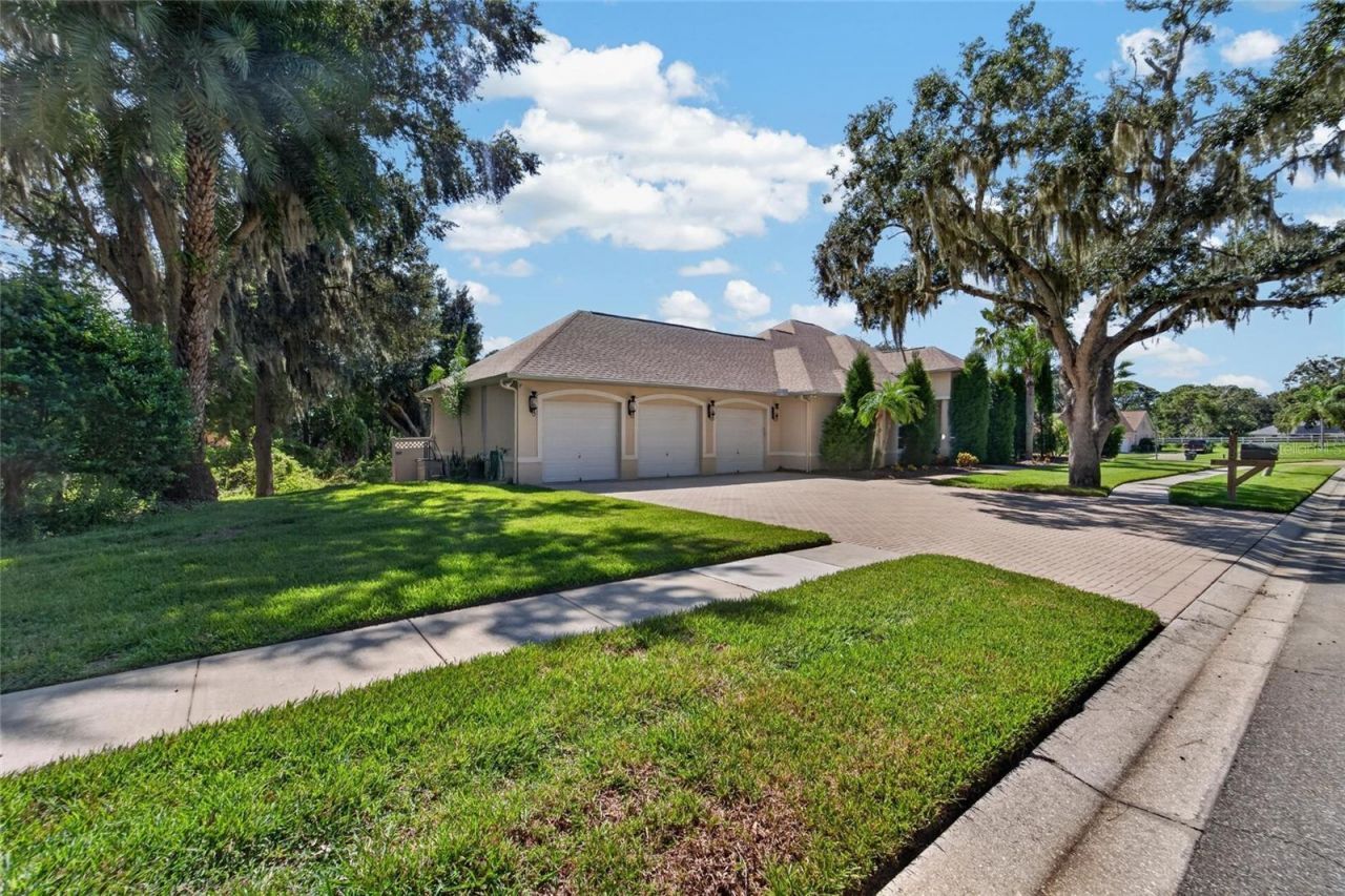 1009 Emerald Creek Drive , Valrico, FL 33596 Photo