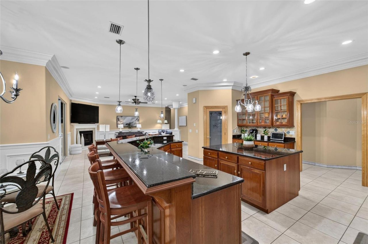 1009 Emerald Creek Drive , Valrico, FL 33596 Photo