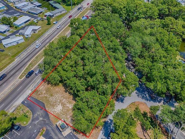 LION LANE , TAVARES, FL 32778