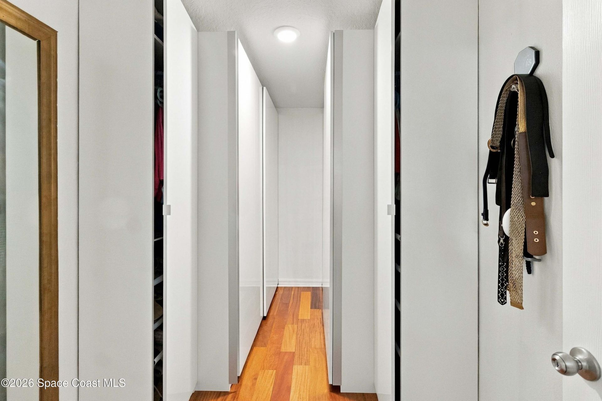 617 Marsh Reed Drive , Winter Garden, FL 34787 Photo