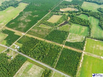 TBD Evns Farm Rd Tract 2, Pamplico, SC 29583