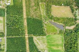 Tbd Evns Farm Rd Tract 2 photo 4