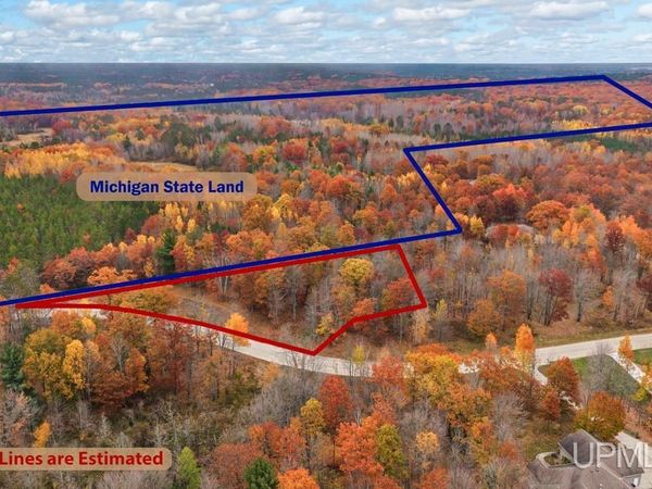 TBD Minnewasca Drive, Brampton Twp, MI 49837