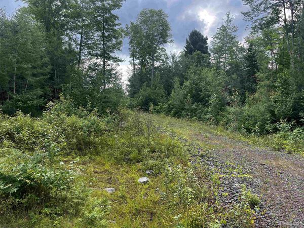 140 Acres Holli Blue Road, Republic Twp, MI 49879