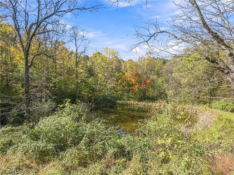 6167 County Rd 14 , Corning, OH 43730 Photo 31