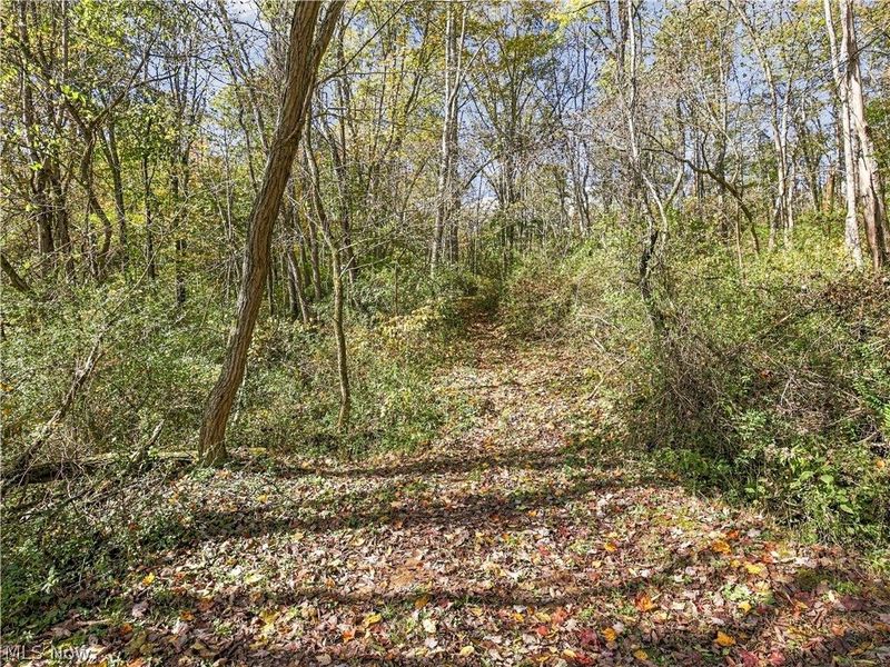 6167 County Rd 14 , Corning, OH 43730 Photo 33