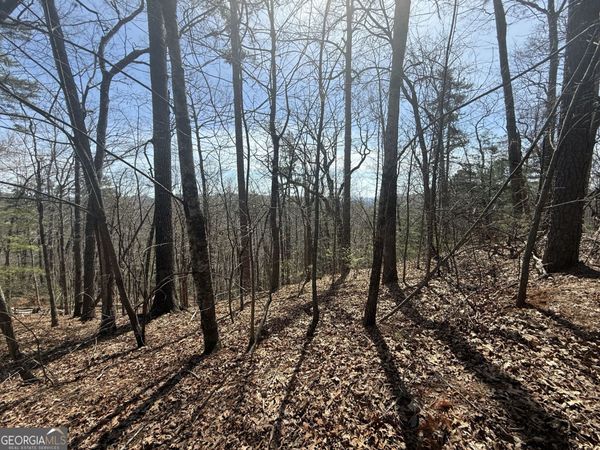 TRACT 3A Big View Lane, Clayton, GA 30525